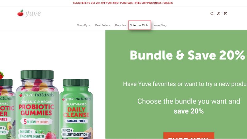what is health and wellness program